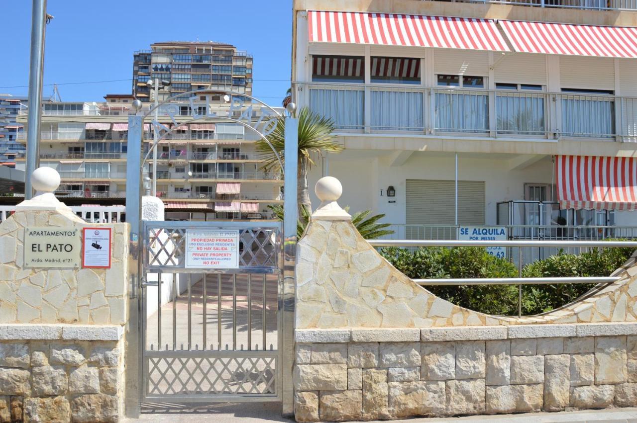 El Pato Primera Linea Benidorm Exterior foto